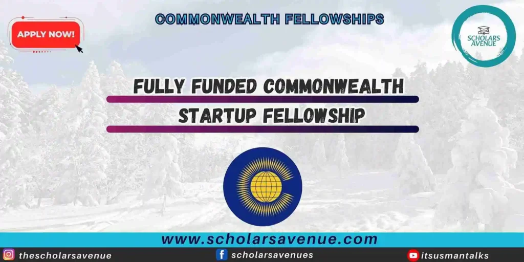 Commonwealth Startup Fellowship