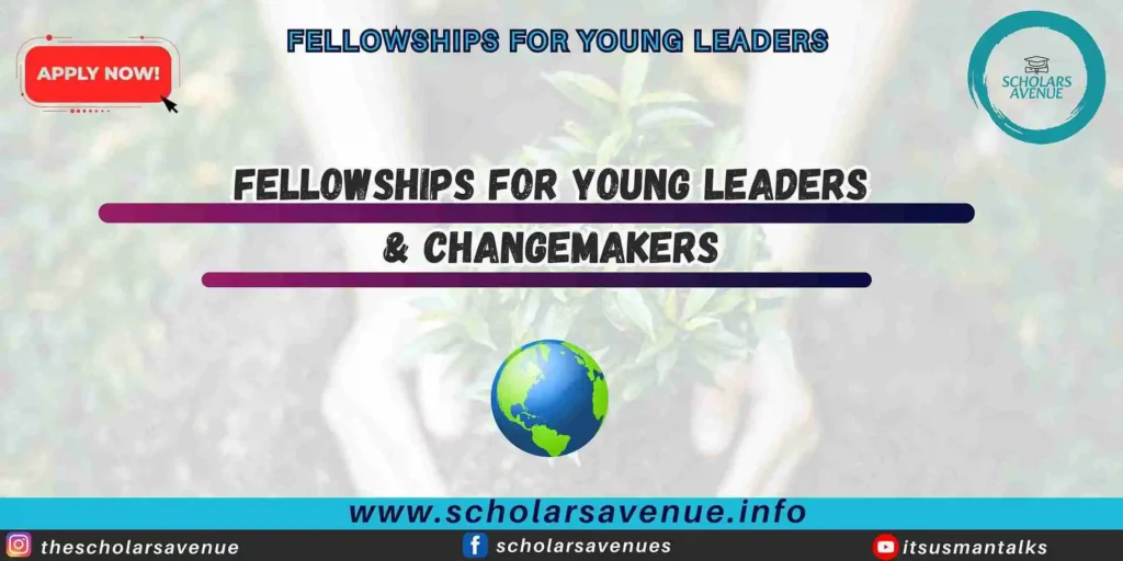 fellowships for young leaders