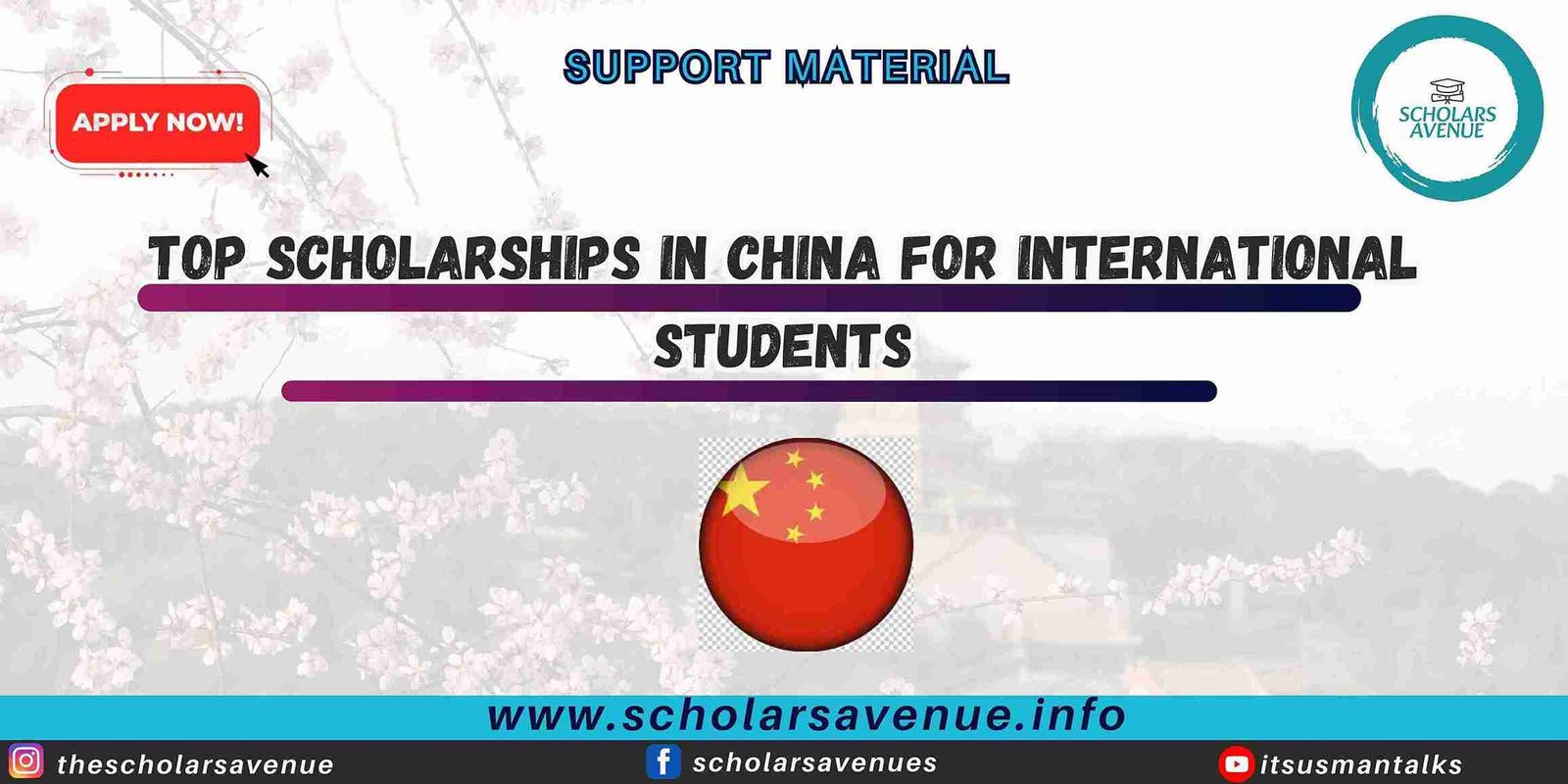 scholarships in China